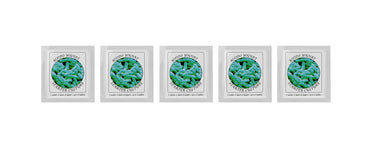 Buy Online Pack of 5 Freeze-dried Culture Sachets for Bifido Yogurt